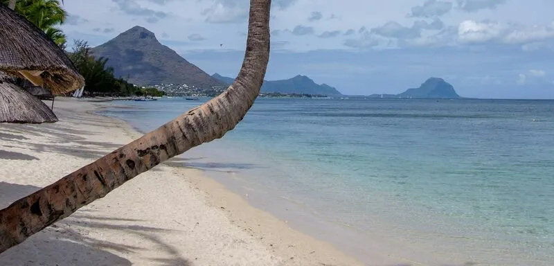 Palmenstrand auf Mauritius
