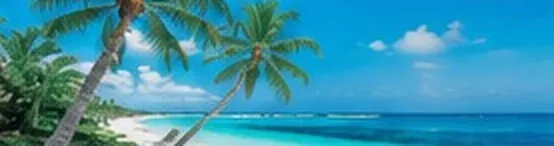 Palmenstrand auf Mauritius